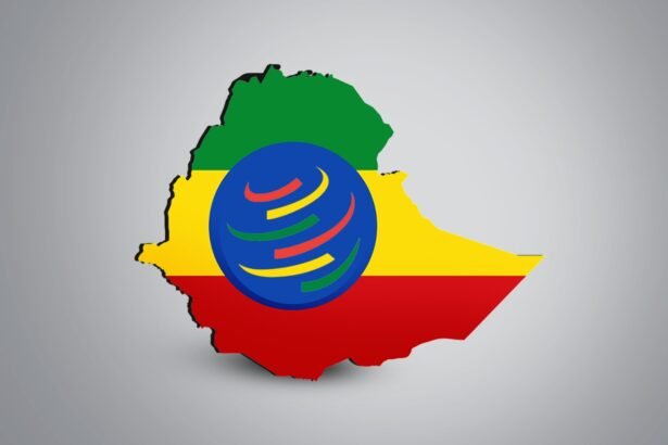 Ethiopia WTO Entry Boosts Africa Trade Integration