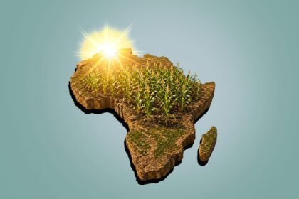 Africa-shaped landmass with a field of corn and a bright sun, symbolizing sustainable farming.