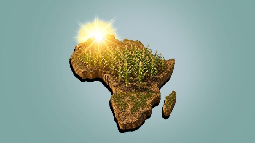 Africa-shaped landmass with a field of corn and a bright sun, symbolizing sustainable farming.