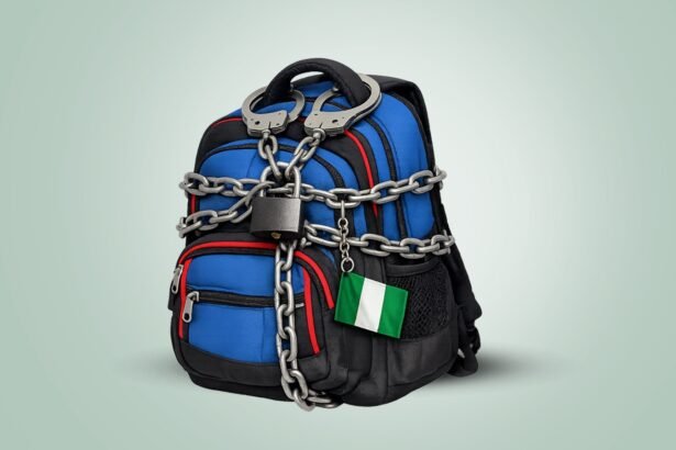 The Ransom Economy Institutional Fragility and the Crisis of Student Abductions in Nigeria