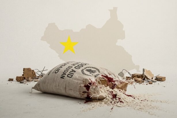Blood and Rations The Political Economy of Human Suffering and Aid Instrumentalization in South Sudan