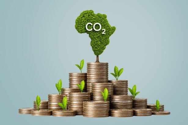 Green Sovereignty Navigating the Geopolitics of African Carbon Markets