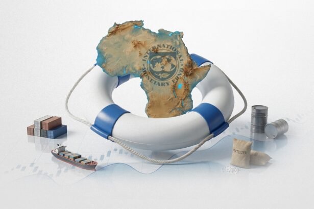 Anchoring Growth IMF Weathering Plans for Africa
