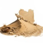 Ghosts of the Dunes Libya’s Nearly Extinct Sand Cat