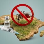 The Vector Shield: Immunological Horizons and the Geopolitical Economy of African Malaria Control