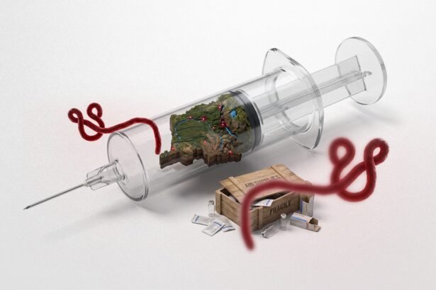 Contagion and Control: How the DRC’s Ebola Crisis Became a Test of Health Sovereignty