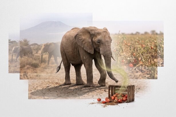 Poisoned Ground: Kenya's Elephant Deaths and the Fragile Architecture of Coexistence