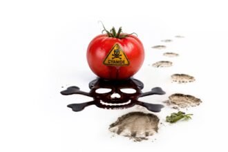 Toxic Harvest: Cyanide, Tomatoes and the Fragile Architecture of Amboseli's Elephants