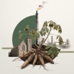 Flared Gas, Failed Harvests: Congo-Brazzaville's Church Versus the Oil Majors