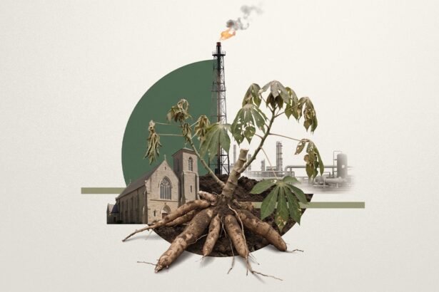Flared Gas, Failed Harvests: Congo-Brazzaville's Church Versus the Oil Majors