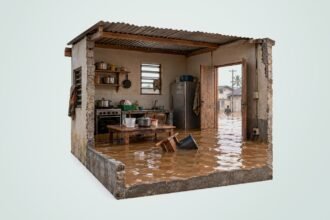 Water at the Door: Douala's Flood and the Architecture of Urban Neglect