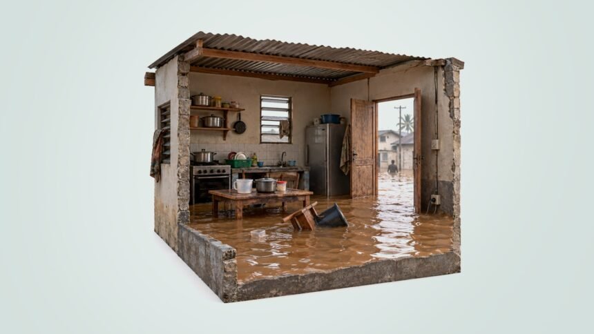 Water at the Door: Douala's Flood and the Architecture of Urban Neglect