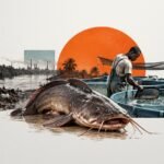 A 7,000-Franc Catfish: Pointe-Noire's Fish Farmers Move into Tanks as Polluted Rivers Come Up Short