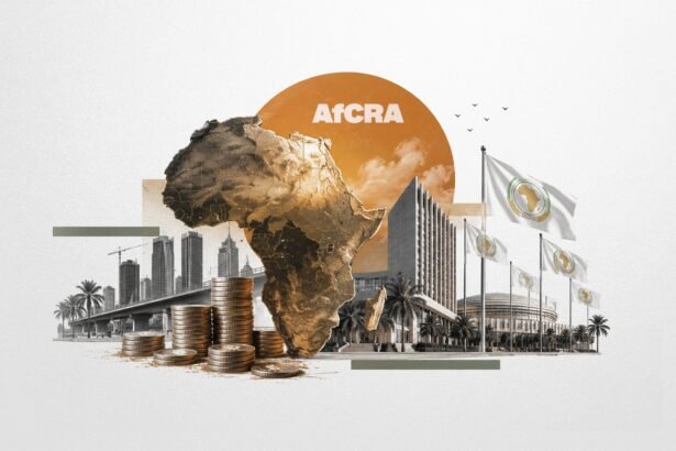 Africa Launches Credit Rating Agency to Challenge Global Giants