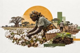 Fewer Sprays, Heavier Harvests: Togo's Cotton Growers Bet on Healthier Soil