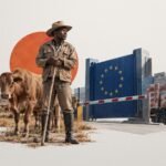 Praised and Penalized: Namibia's Foot-and-Mouth Shock and the Asymmetric Architecture of Beef Trade