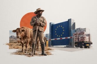 Praised and Penalized: Namibia's Foot-and-Mouth Shock and the Asymmetric Architecture of Beef Trade