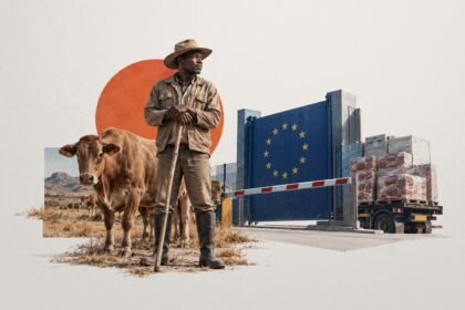 Praised and Penalized: Namibia's Foot-and-Mouth Shock and the Asymmetric Architecture of Beef Trade