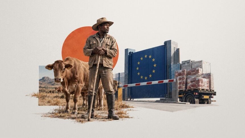 Praised and Penalized: Namibia's Foot-and-Mouth Shock and the Asymmetric Architecture of Beef Trade
