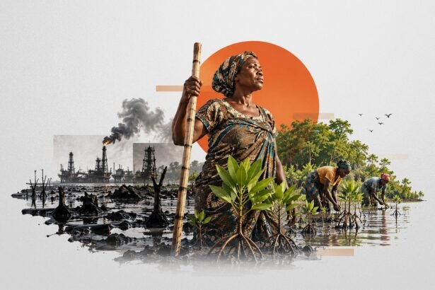 Spacing Sticks: Ogoni Women and the Reclamation of a Poisoned Delta