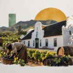 Thirty Enslaved People at a Time: South Africa's Oldest Wine Farm Tells a History Most Estates Leave Out