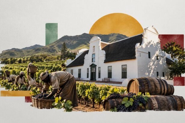 Thirty Enslaved People at a Time: South Africa's Oldest Wine Farm Tells a History Most Estates Leave Out